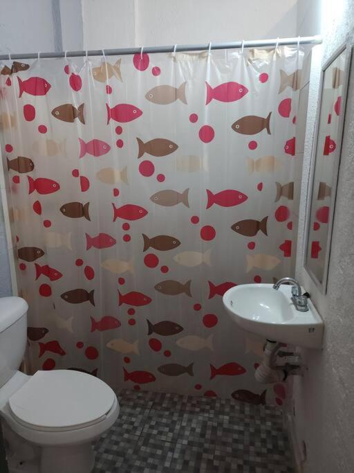 Small Studio Apt 5Min To Dt! Zihuatanejo Eksteriør billede